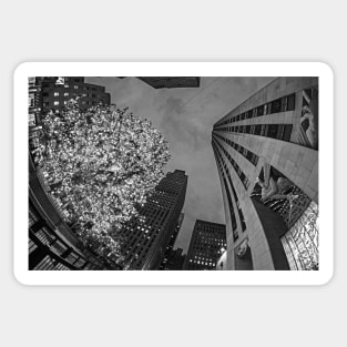 New York City Christmas Tree Rockafella Center BW Sticker